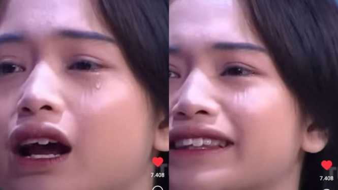 Instagram/@transtv_corp