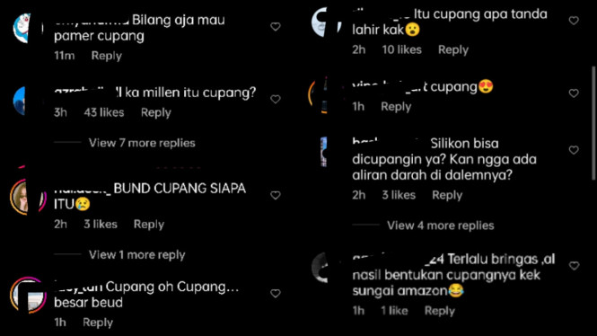 Instagram/millencyrus 