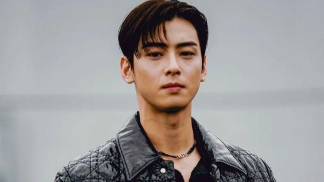 Instagram/chaeunwoodaily