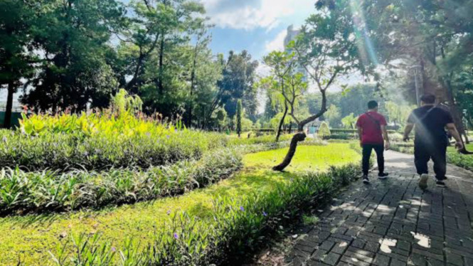 gmaps/Nanda Putra Yunanto