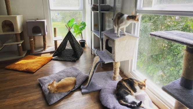 Instagram/calicoffice