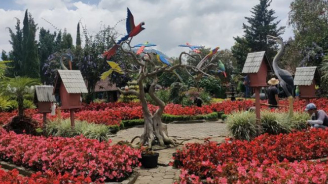 Instagram/@kebunbegonia