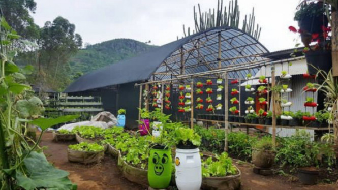 Instagram/@kebunbegonia