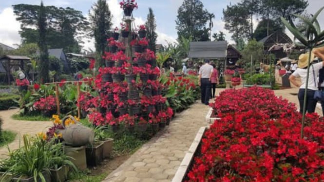 Instagram/@kebunbegonia