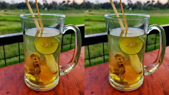 Instagram/@umi_illiyina