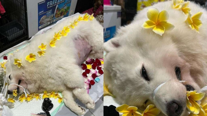 Instagram/@wendywalters