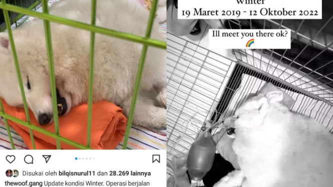 Instagram/@wendywalters