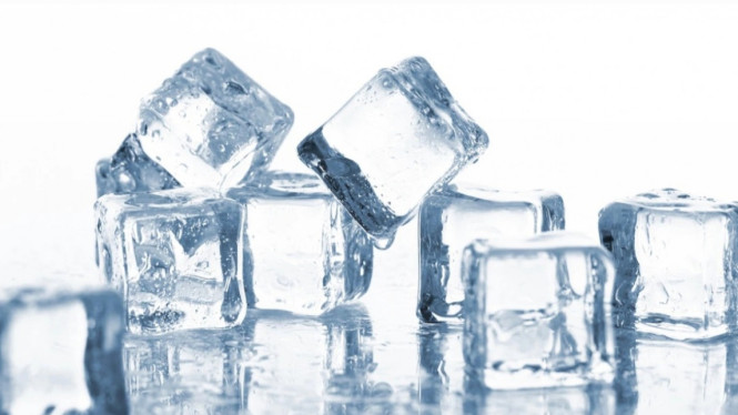 Freepik/racool_studio