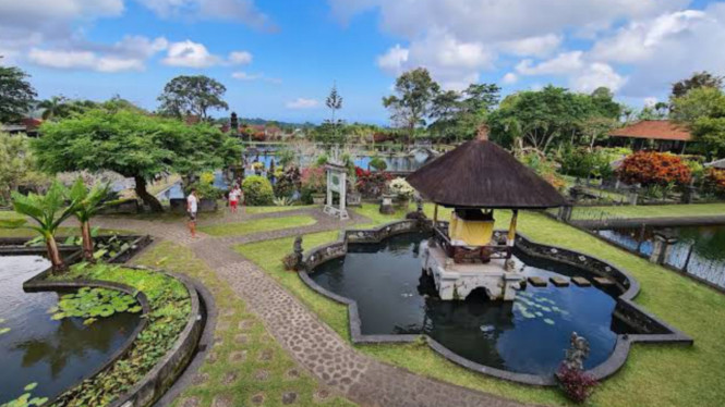 Gmaps/Vincent Pilot Vignaux