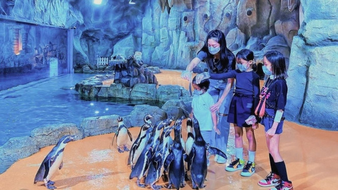 Instagram/oceandreamsamudra