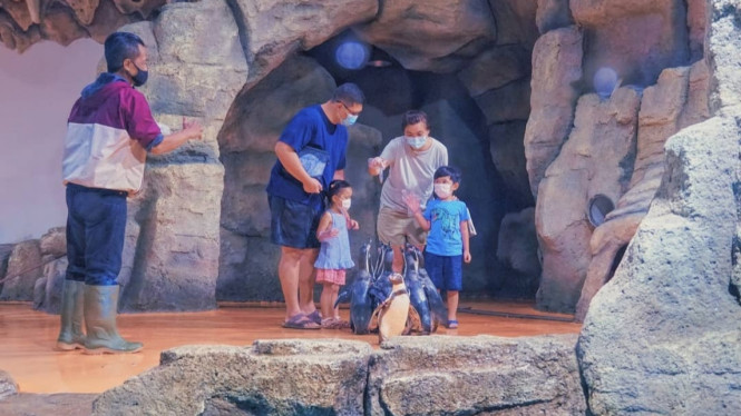 Instagram/oceandreamsamudra