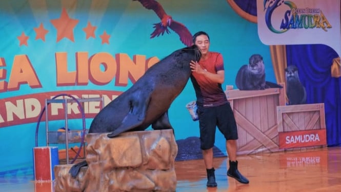 Instagram/oceandreamsamudra