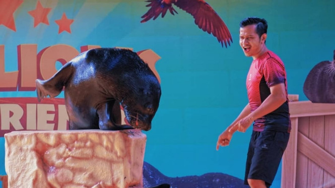 Instagram/oceandreamsamudra