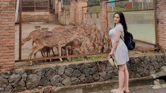 aamandazahra/instagram