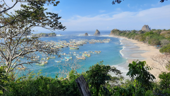 7 Daya Tarik Memikat Pantai Papuma Hidden Gem Pantai Putih Di Jawa Timur