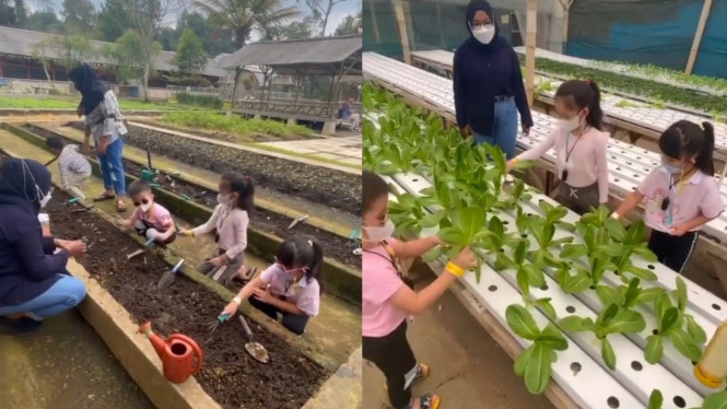 Instagram/@jendelaalambandung