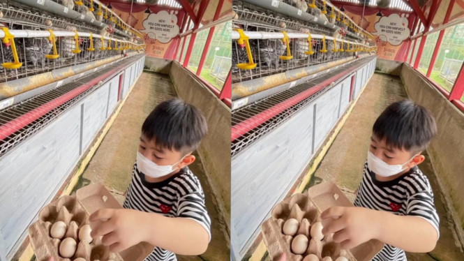 Instagram/@jendelaalambandung