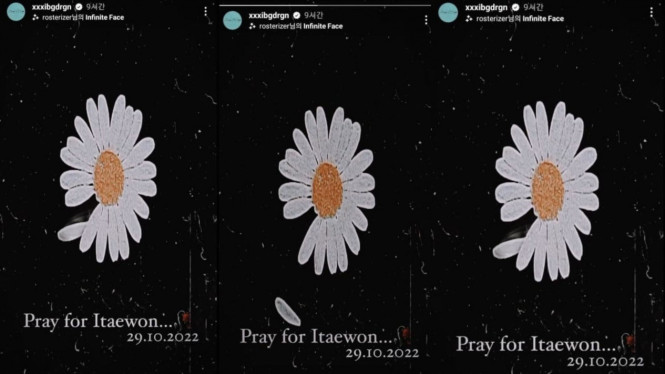 Instagram/xxxibgdrgn