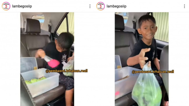 Instagram/@lambegosiip