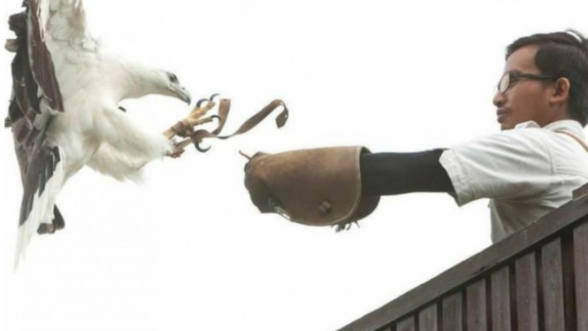 Instagram/@balibirdparkofficial