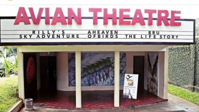 Instagram/@balibirdparkofficial