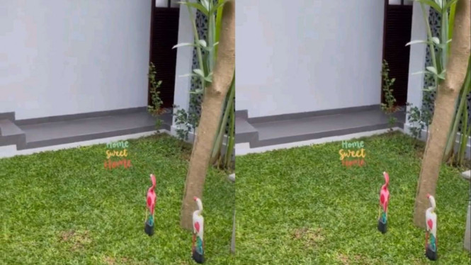 Instagram/@harrisfaisal_11