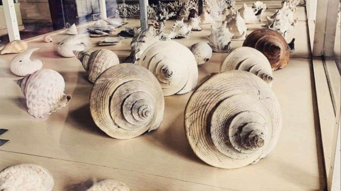 Instagram/@sadiahcurates