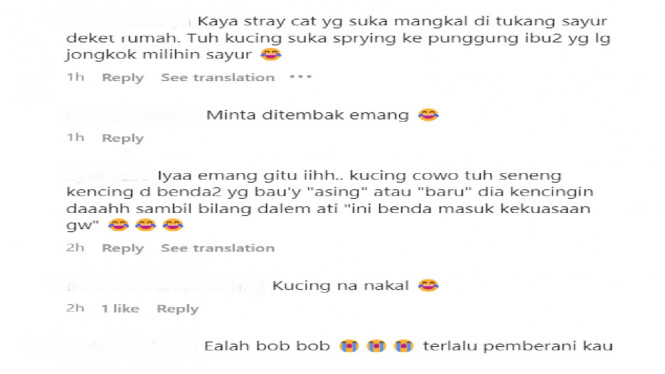 Instagram/lambegosiip