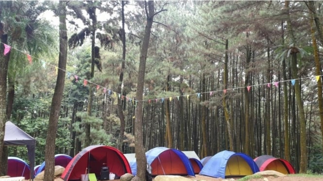 5 Tempat Glamping Sentul, Lokasinya Dekat Rumah Verrell Bramasta