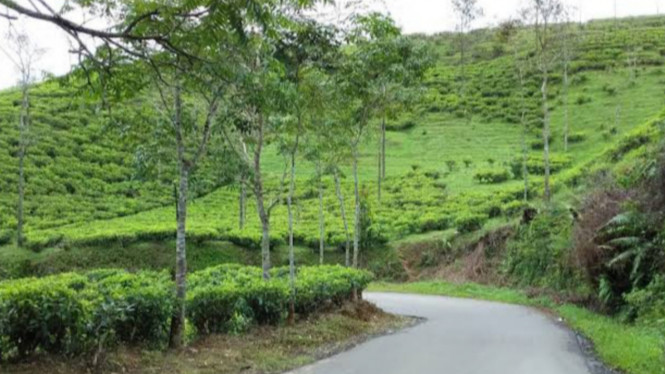 gmaps/Waskara Waskara