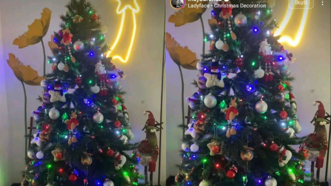 Instagram/@indybarends