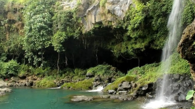 Instagram/purbalinggaku