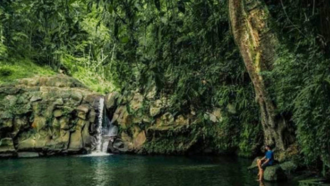 Instagram/purbalinggaku