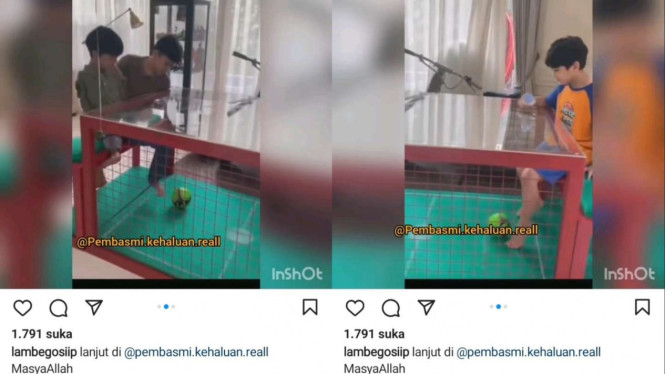 Instagram/@lambegosiip