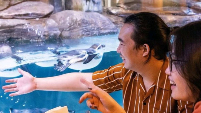 Instagram/@pingoorestaurant