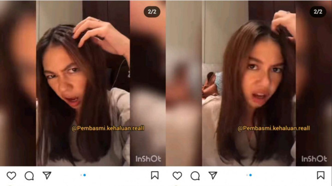 Instagram/@lambegosiip