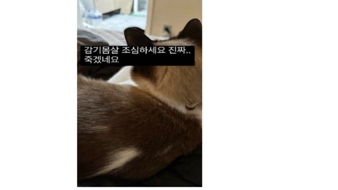 Instagram/youngji_02