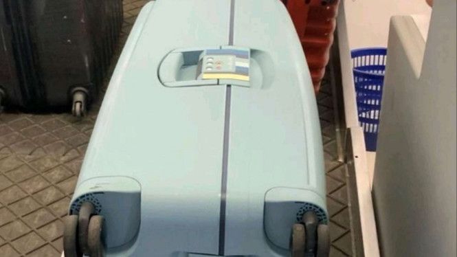 Instagram/@sisisinta