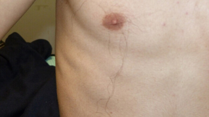 Guinness world records 