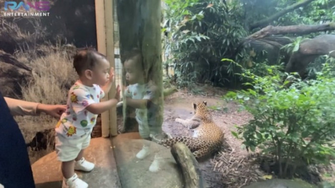 Youtube Rans Entertainment