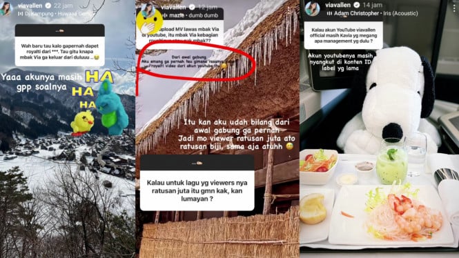 Instagram/@viavallen