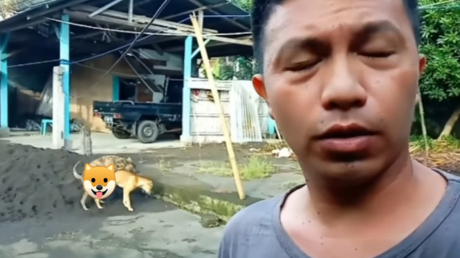 Instagram/ @lagi.viral