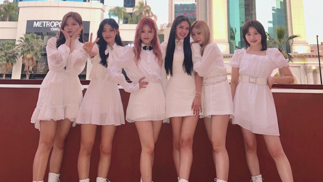 Twitter/offcllapillus