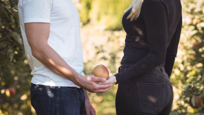 Freepik/wavebrickmedia