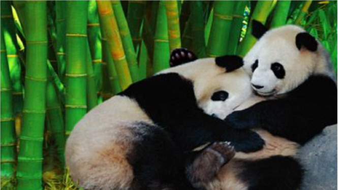 Pinterest/HowStuffWorks