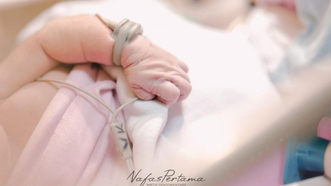 Instagram/vebbypalwinta