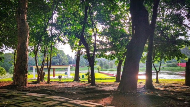 Google Maps/Kebun Raya Cibinong