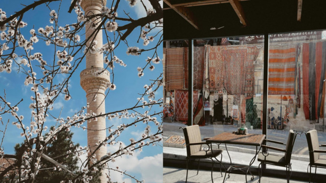 Instagram/ @anyageraldine