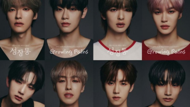 Twitter.com/the_epex