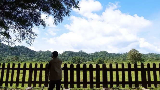 Instagram/ @btn_alaspurwo